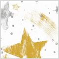 GOLD/SILVER CELEBRATION Sheet Tissue Paper